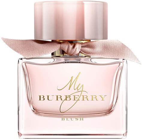 blush burberry parfum|burberry blush perfume for women.